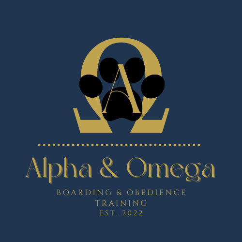 Home Alpha Omega Dog Boarding Training